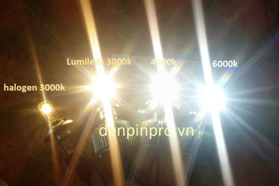 den led xe may